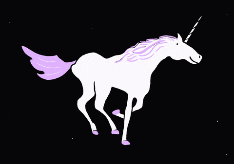 Horse Running Indian Unicorns GIF