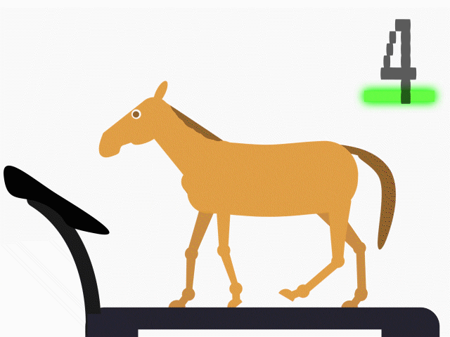 Horse Running Fall On Treadmill GIF