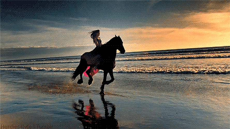 Horse Running Beach  GIF