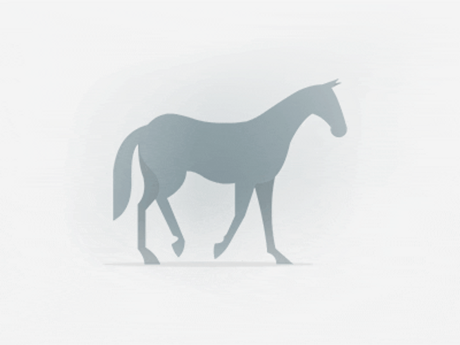 Horse Running Selaria Vertentes  GIF