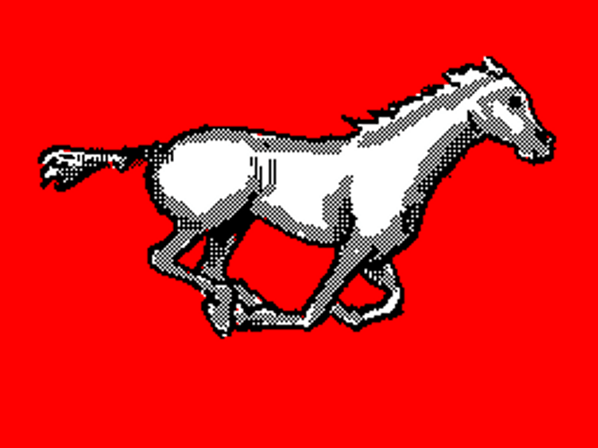 Horse Running Stallion GIF