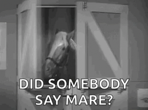 Horse Saying Did Somebody Say Mare