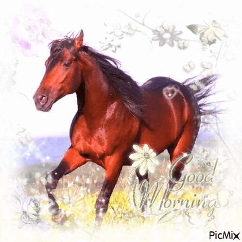 Horse Saying Good Morning