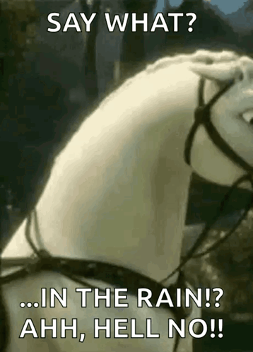 Horse Saying Say What Rain Ahh Hell No