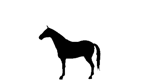 Horse Silhouette Walking