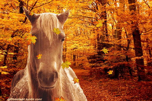 Horse Standing In Forest With Falling Leaves GIF