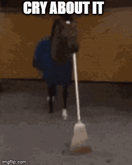 Horse Standing in Stable Holding Broom