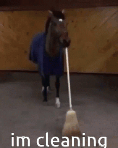 Horse Sweeping GIF