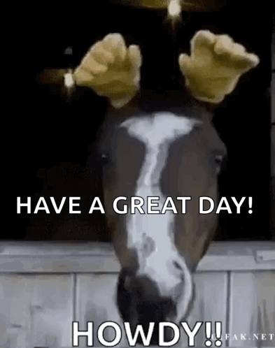 Horse Wearing Gloves Saying Have A Great Day GIF