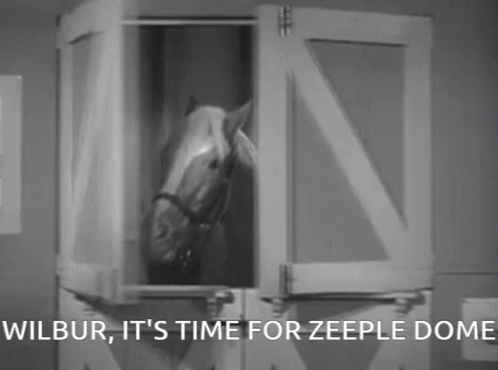 Horse Wilbur Time for Zeeple Dome