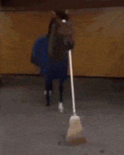 Horse with Blue Blanket and Broom in Mouth