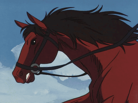 Horse With Bridle GIF