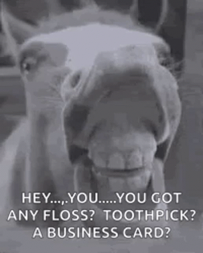 Horse With Mouth Open and Toothpick
