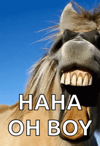 Horse with Mouth Open Saying Haha Oh Boy