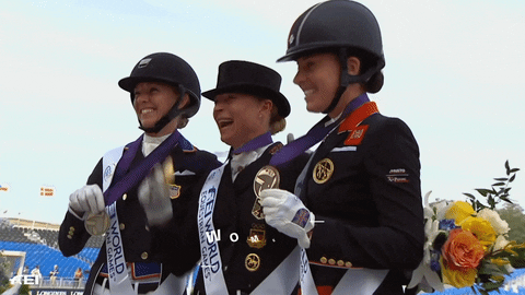 Horseback Riding Player Play Like A Champion And Won GIF