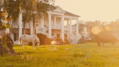Horses Grazing In Front Of A Large White House With Stairs GIF