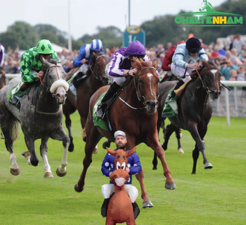 Horses Racing on Chiltern Track