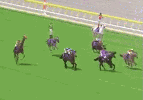 Horses Racing On Grass Field GIF