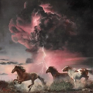 Horses Scared In The Perfect Storm GIF