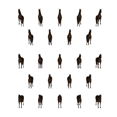 Horses Standing Together