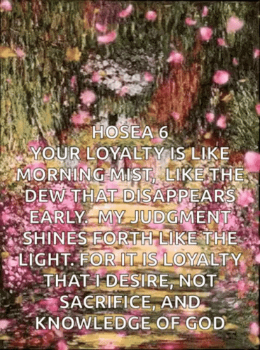 Hosea 6 Your Loyalty Is Like Morning Mist Like The Dew That Disappears Early My Judgment Shines Forth Like The Light GIF