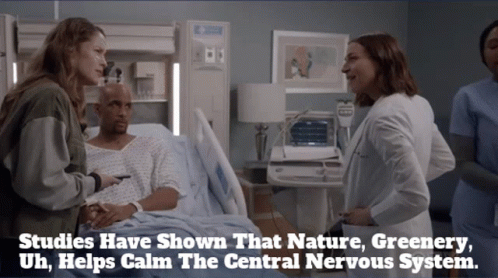 Hospital Scene Studies Show Nature Greenery Calms Nervous System