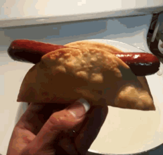 Hot Dog In Taco GIF