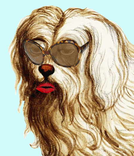 Hot Dogs Wiener Wednesday GIF