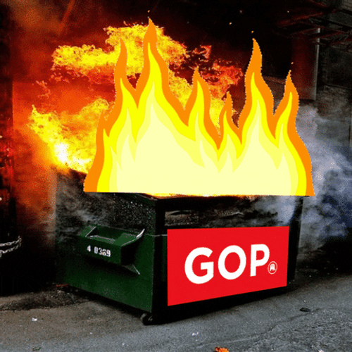Hot Dumpster Fire GIF