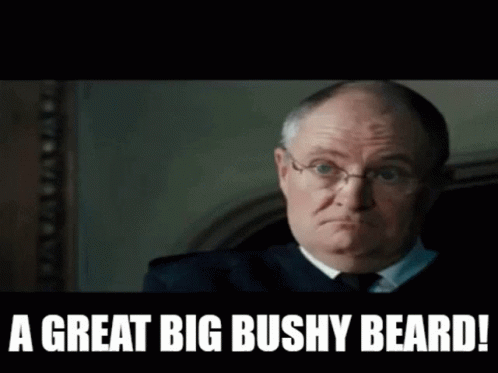 Hot Fuzz A Great Big Bushy Beard GIF