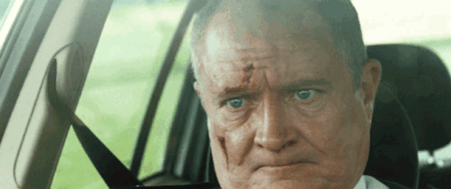 Hot Fuzz Goose Peck GIF