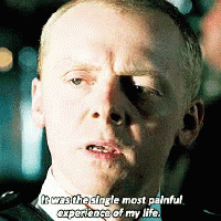 Hot Fuzz Most Painful Experience GIF