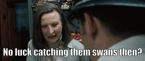 Hot Fuzz No Luck Catching Swans GIF