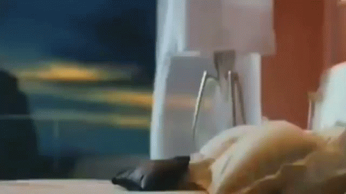 Hot Love Scene Team America GIF