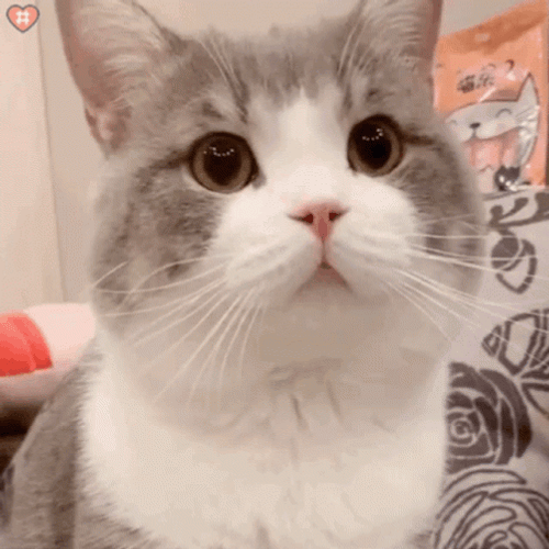 Hot Potato GIF