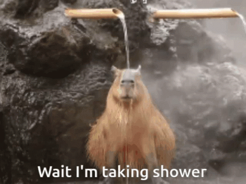 Hot Showering Capybara Meme GIF