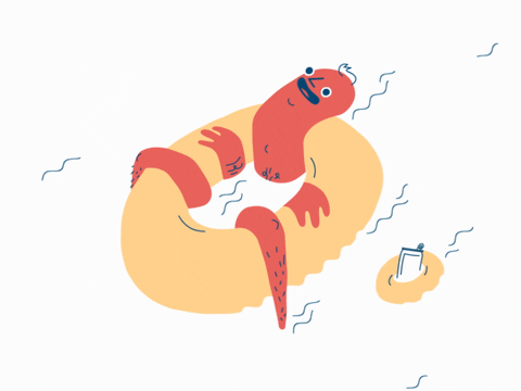 Hotdog Floating On River GIF