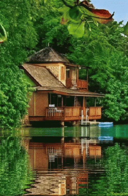 House By The Nature's Lake GIF