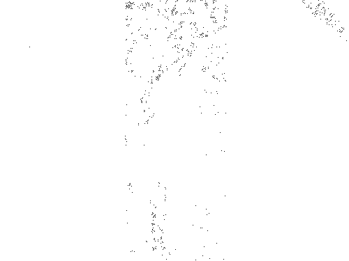 House Exploding Turned To Ashes GIF