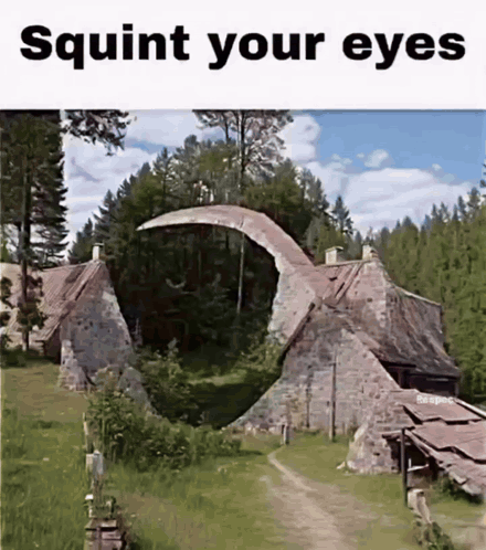 House in Forest Squirt Your Eyes