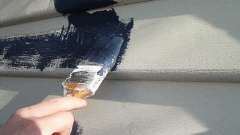 House Painting Funny Costume GIF