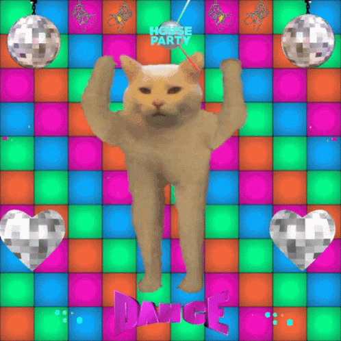 House Party Cat Dance GIF