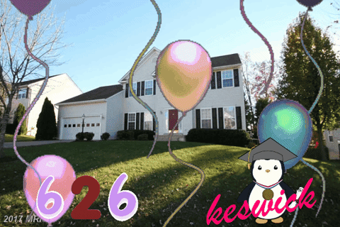 House with Balloons and 626