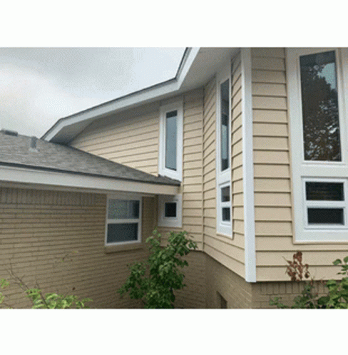 House With Many Windows GIF