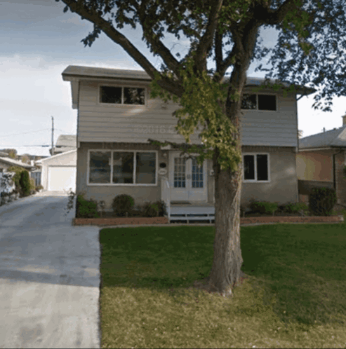 House with Tree and Driveway