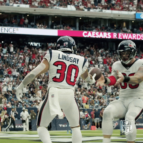 Houston Texans Chaotic Player GIF