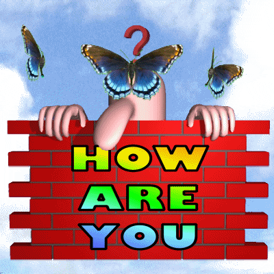 How Are You Are You Ok GIF