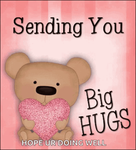 How Are You Doing Sending You Big Hugs GIF