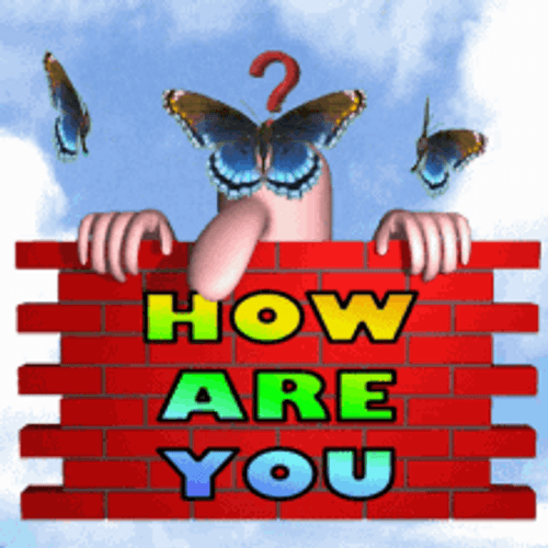 How Are You Guy Asking With Butterflies GIF