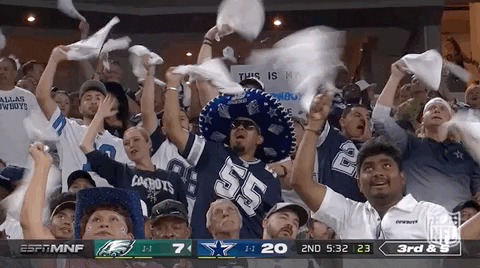 How Bout Them Cowboys Fans GIF